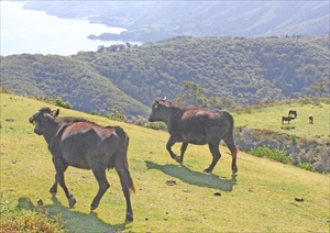 aIMG_0424_R